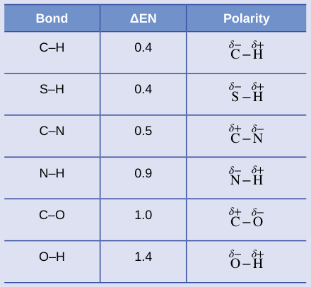 Extracted table snapshot