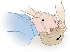 Book illustration