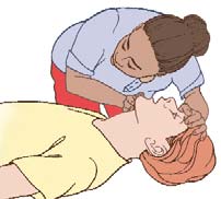Book illustration