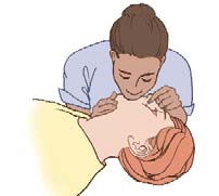 Book illustration