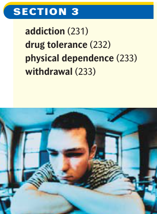 Extracted table snapshot