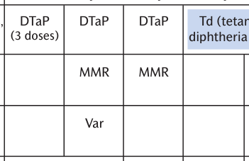 Extracted table snapshot