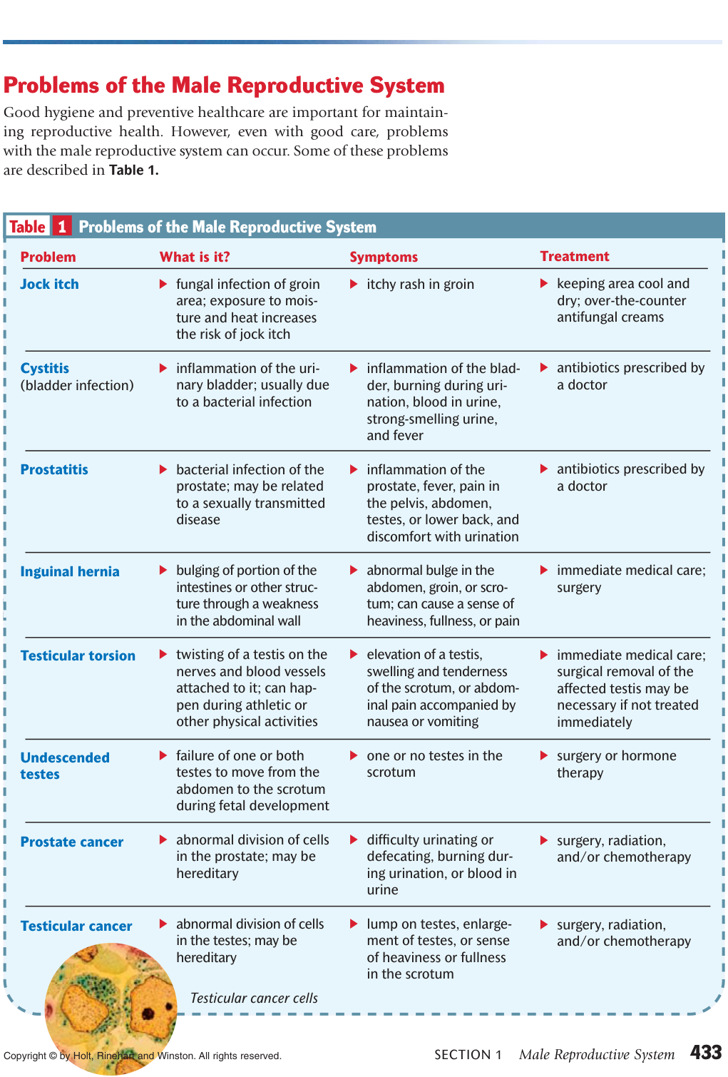 Extracted table snapshot
