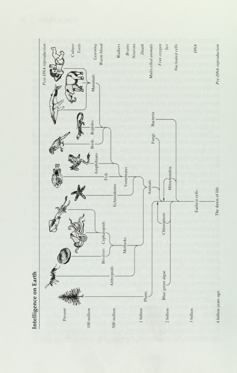 diagram from the book