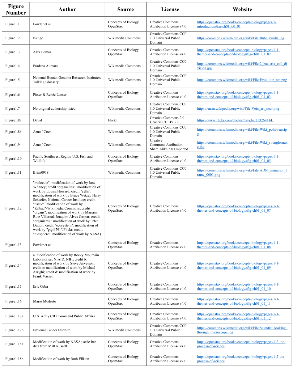 Extracted table snapshot