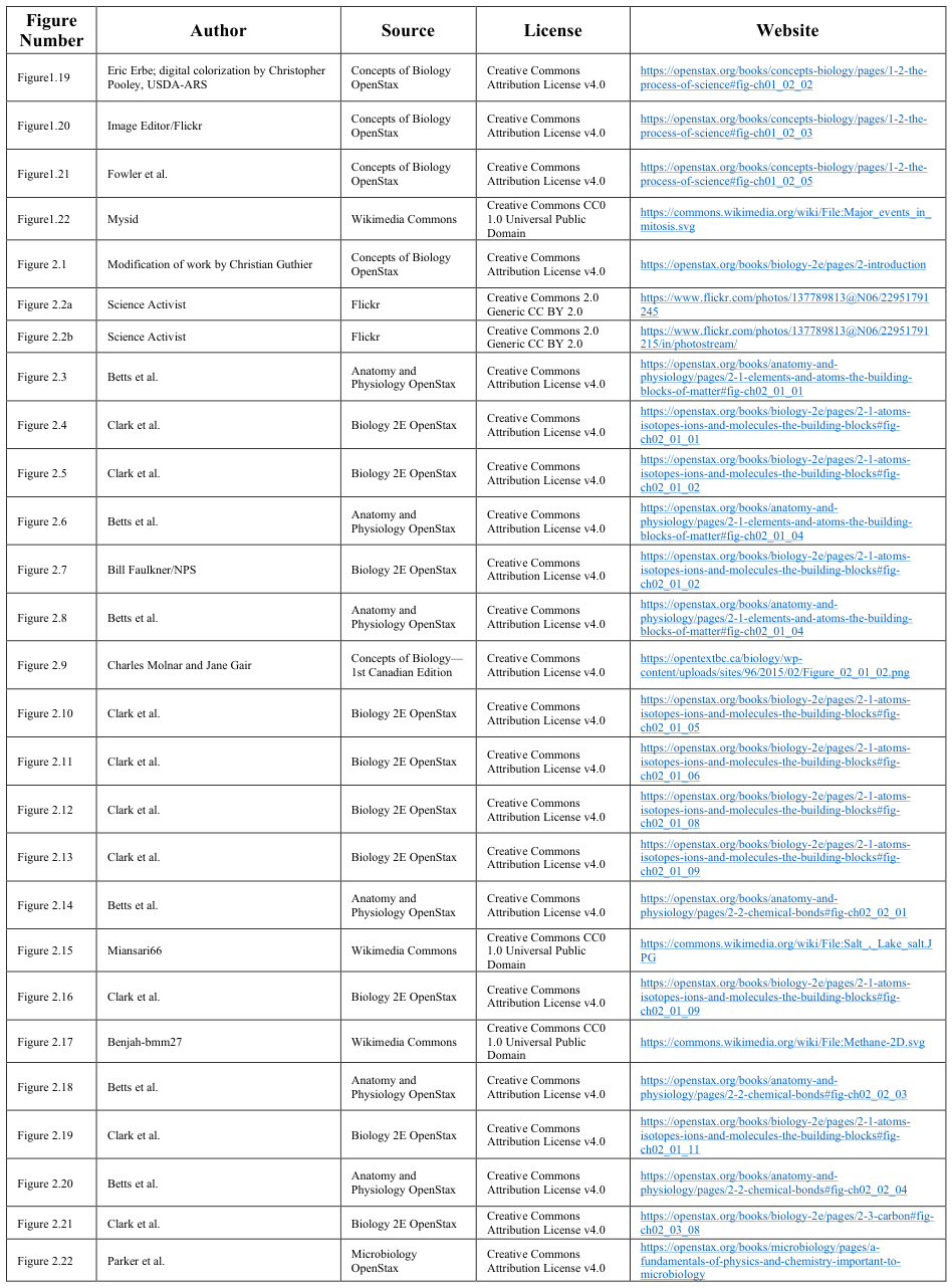 Extracted table snapshot