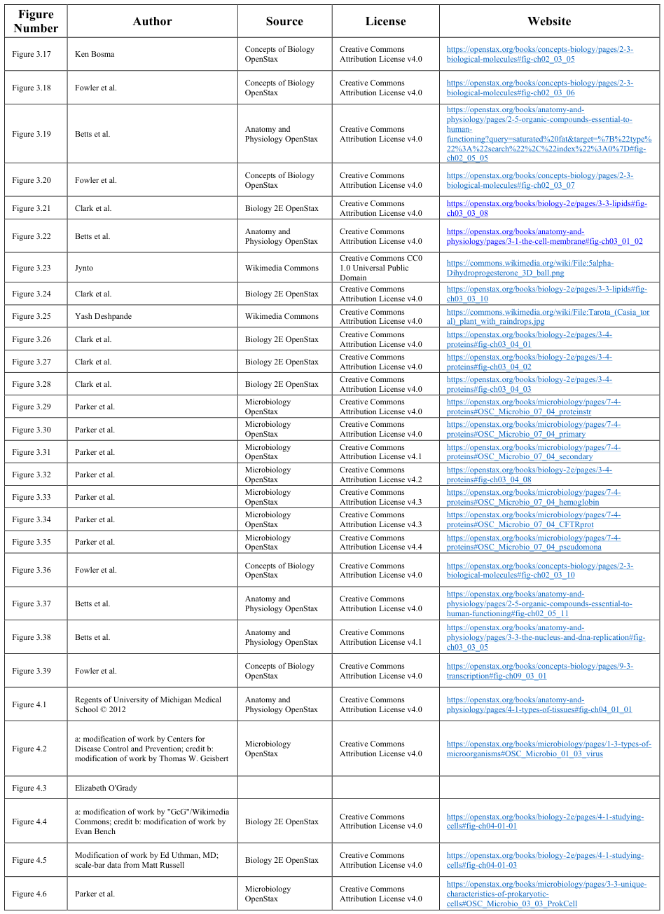 Extracted table snapshot