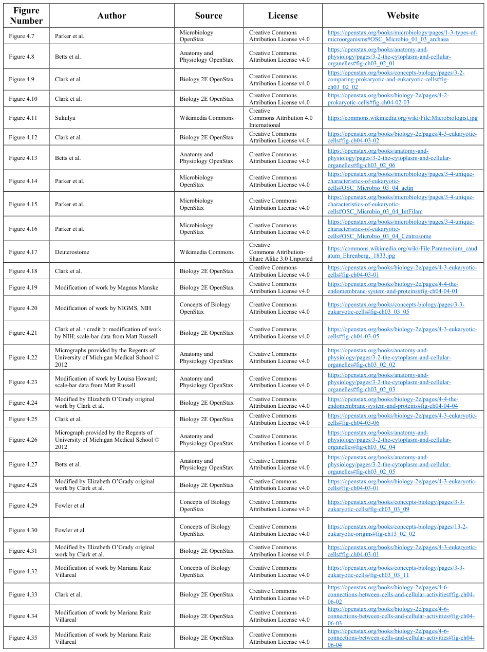 Extracted table snapshot