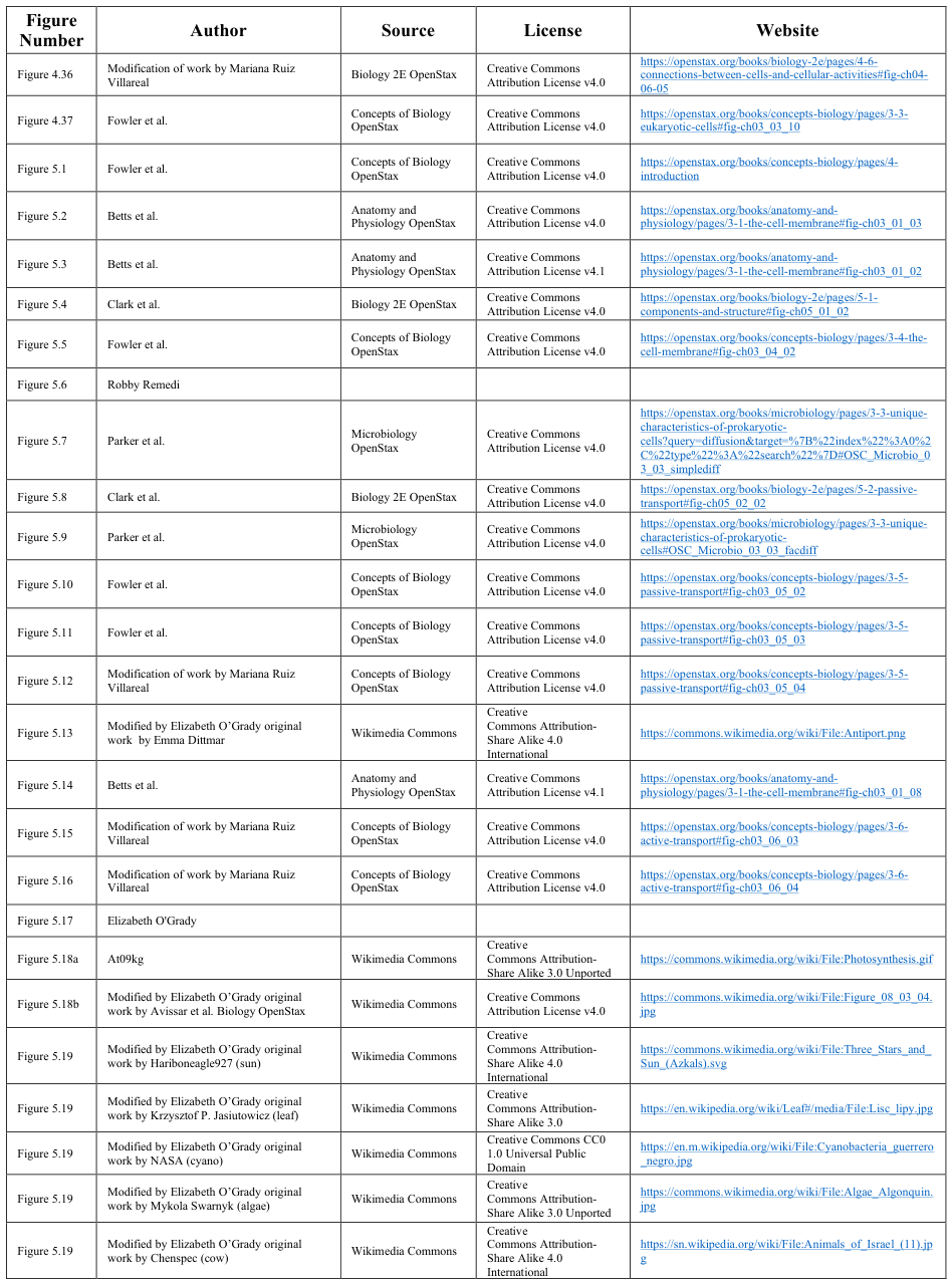 Extracted table snapshot
