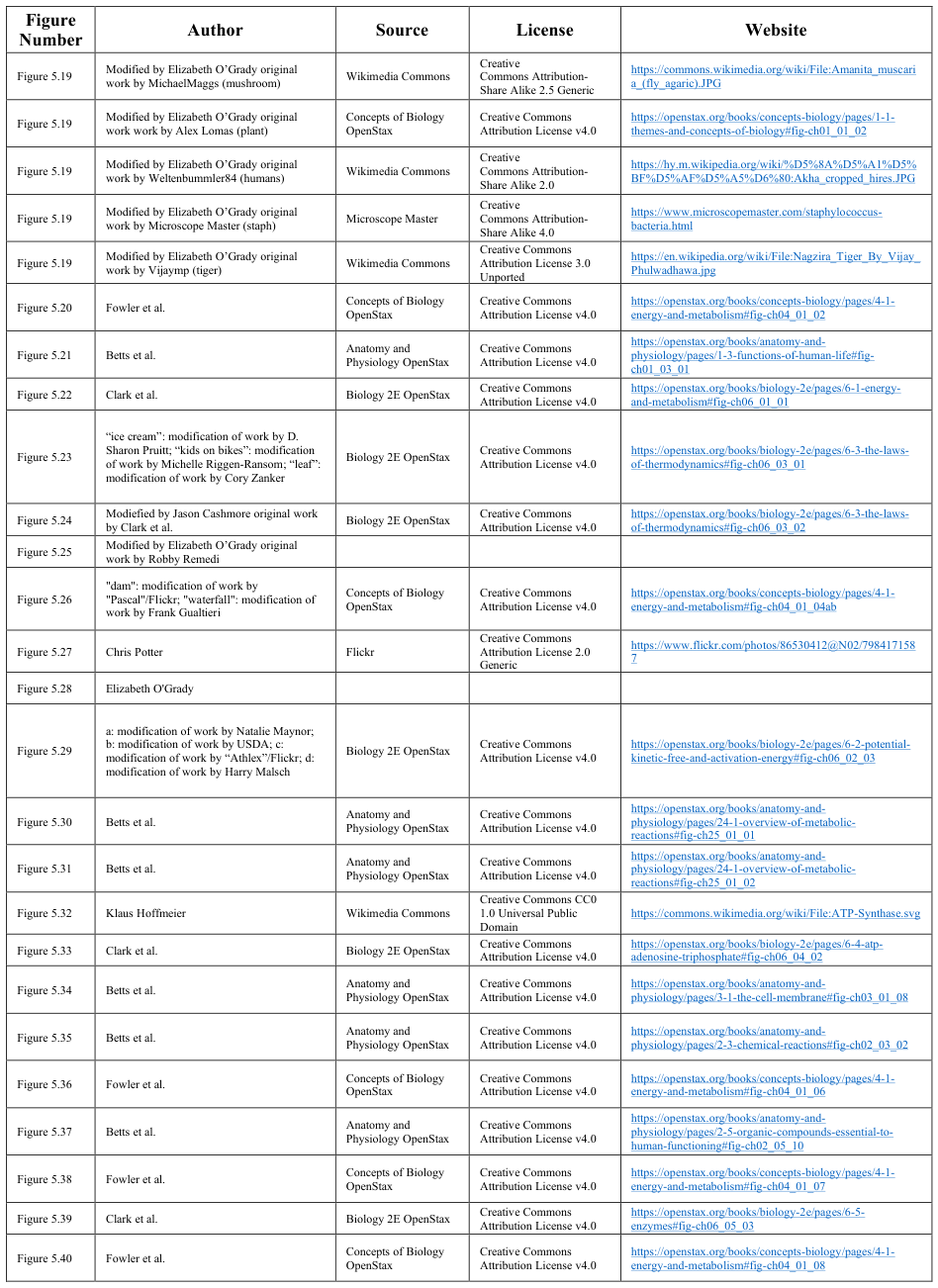 Extracted table snapshot