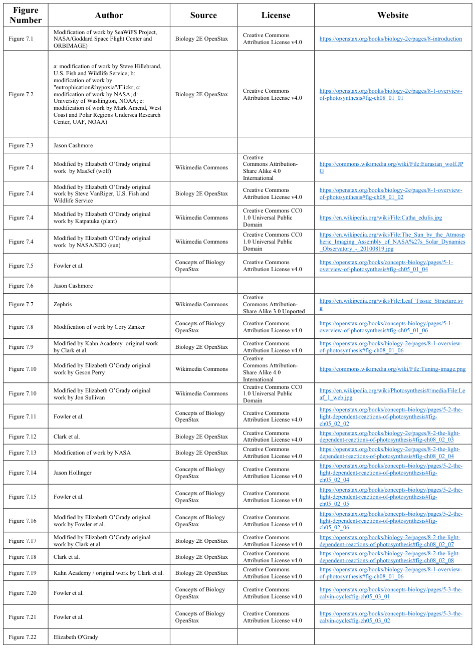 Extracted table snapshot