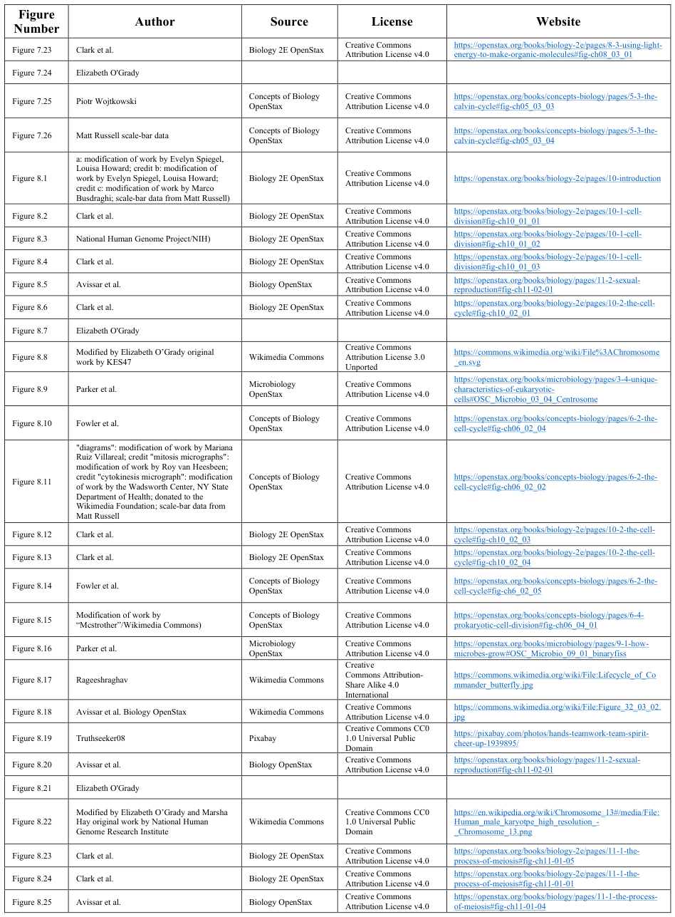Extracted table snapshot