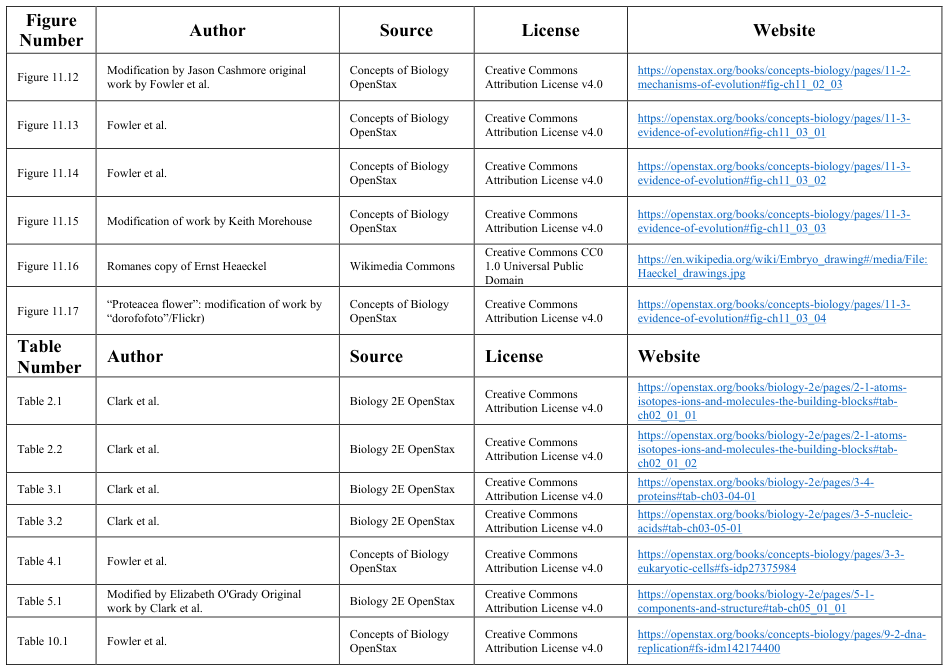 Extracted table snapshot