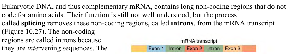 Extracted table snapshot