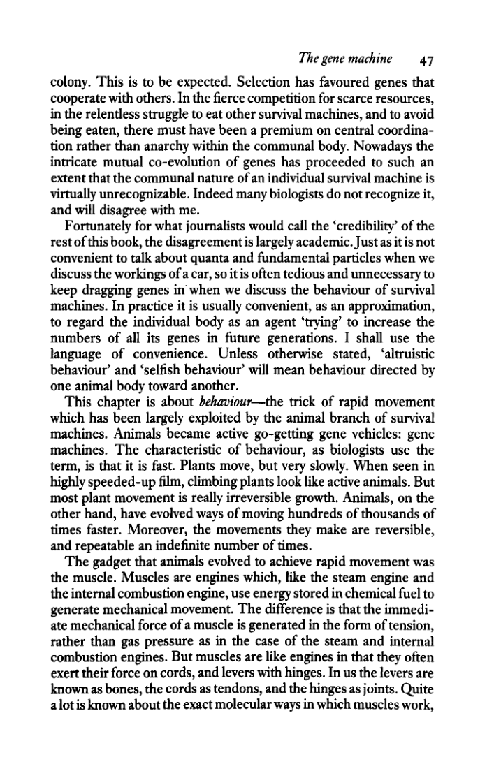 Book illustration