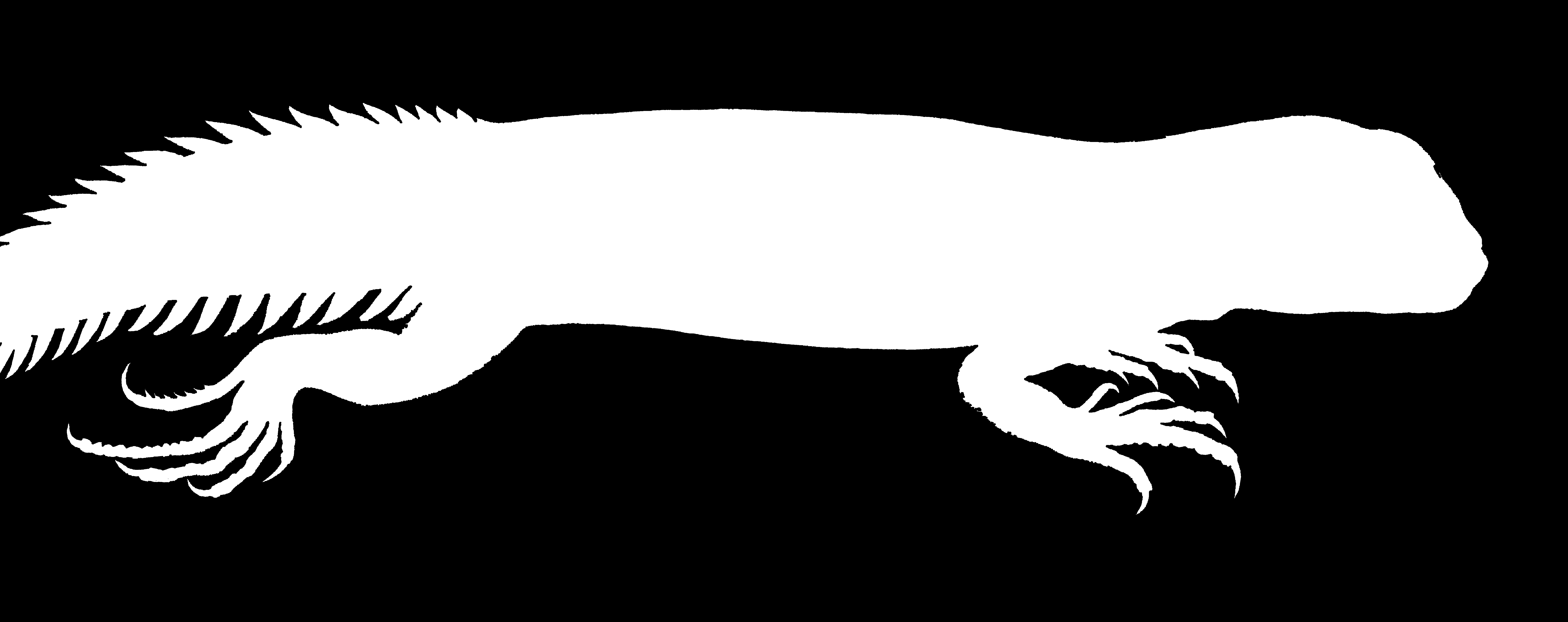 Book illustration